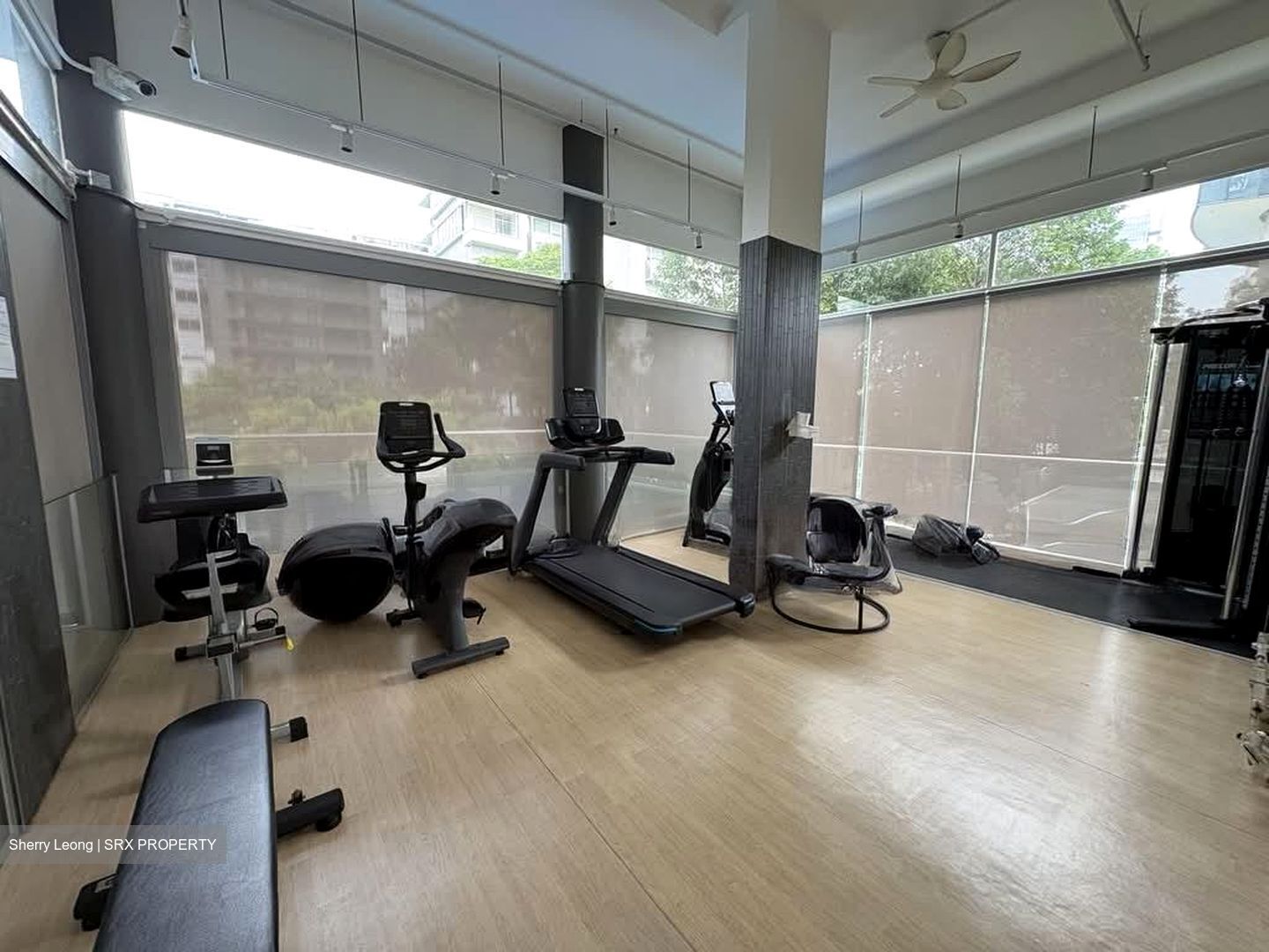 Angullia Park Residences @ Orchard (D10), Apartment #592010421